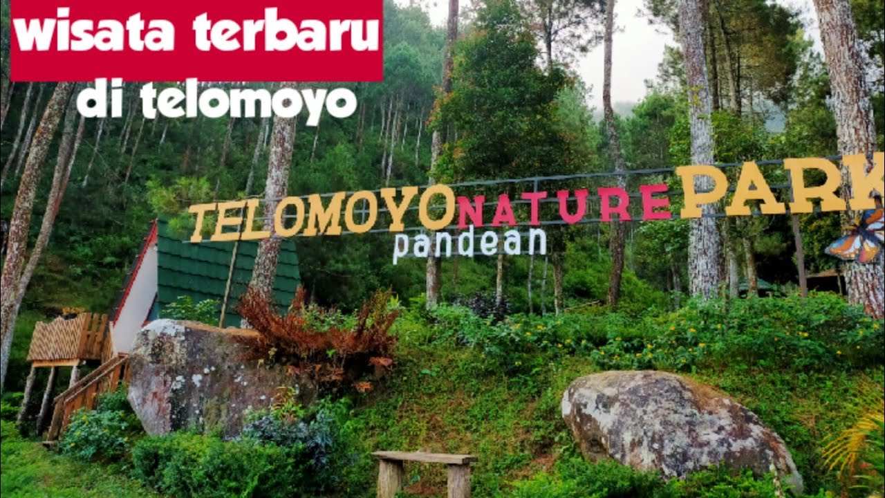 Telomoyo Nature Park: Surga Tersembunyi untuk Pecinta Alam